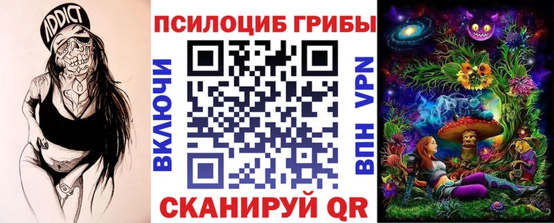 Галлюциногенные грибы Psilocybine cubensis  гидра как зайти  Котово 